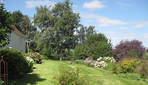 Garden view from Magnolia Cottage