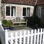 Plants: image 3 0f 4 thumb