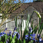 Plants: image 4 0f 4 thumb