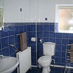 Plants: image 3 0f 4 thumb