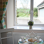 Plants: image 4 0f 4 thumb